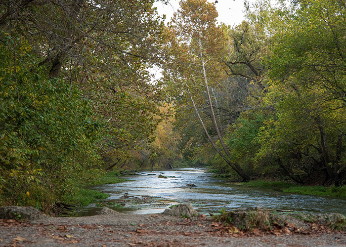 Bennet Spring
